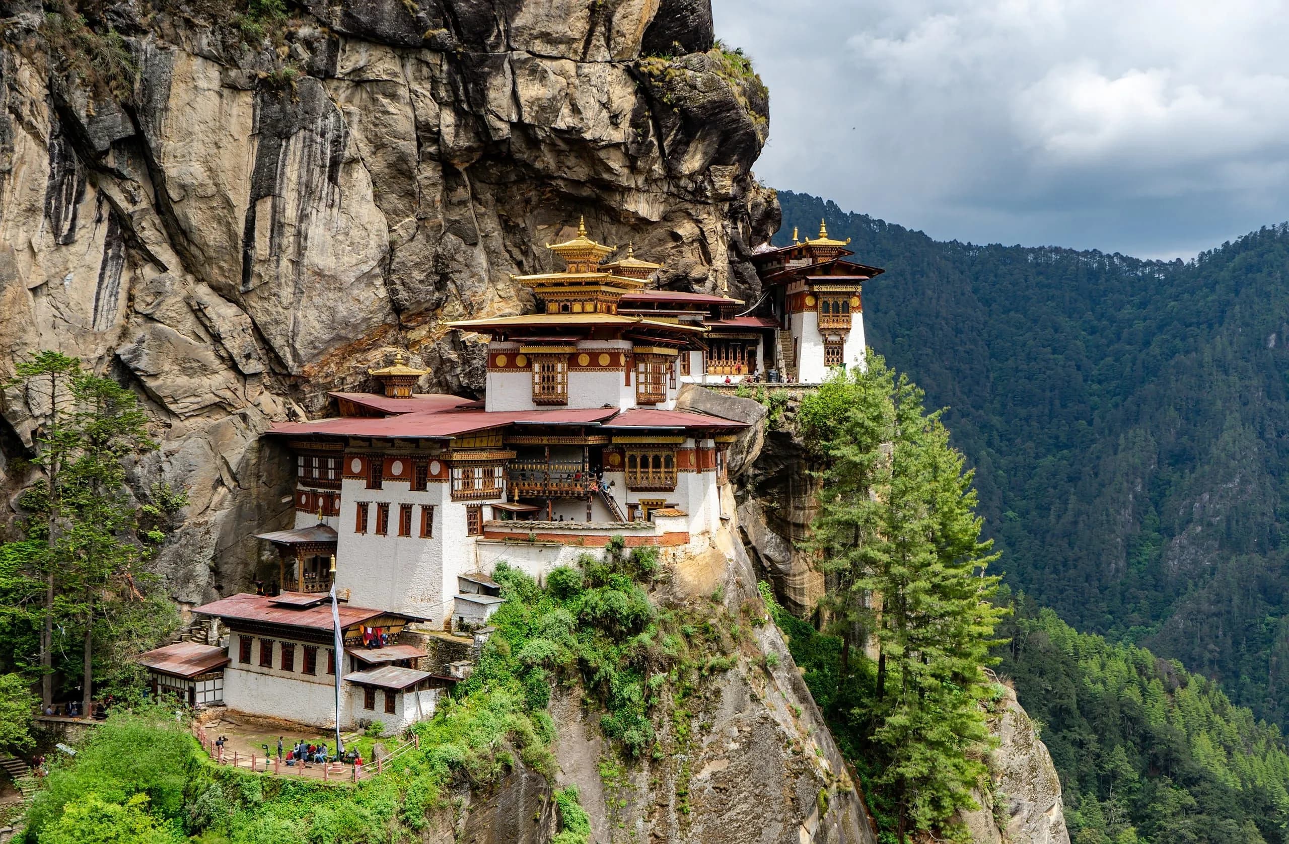 Paro — 1