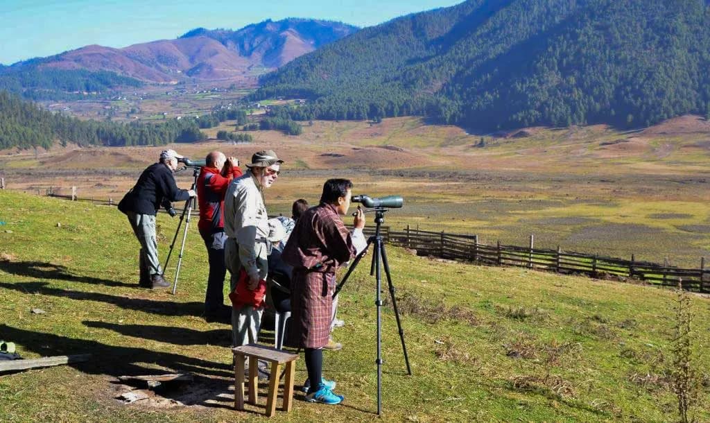 Birding in bhutan