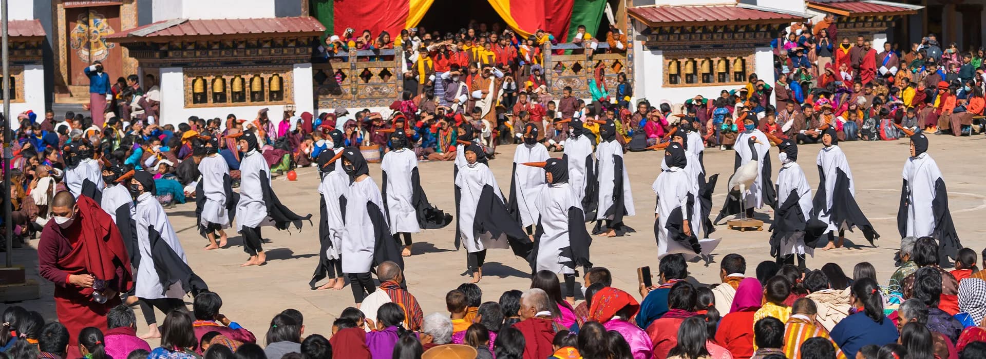 Black-Necked Crane Festival