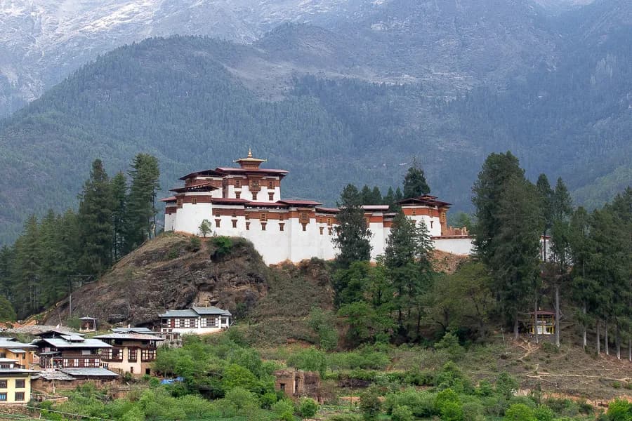 Paro — 4