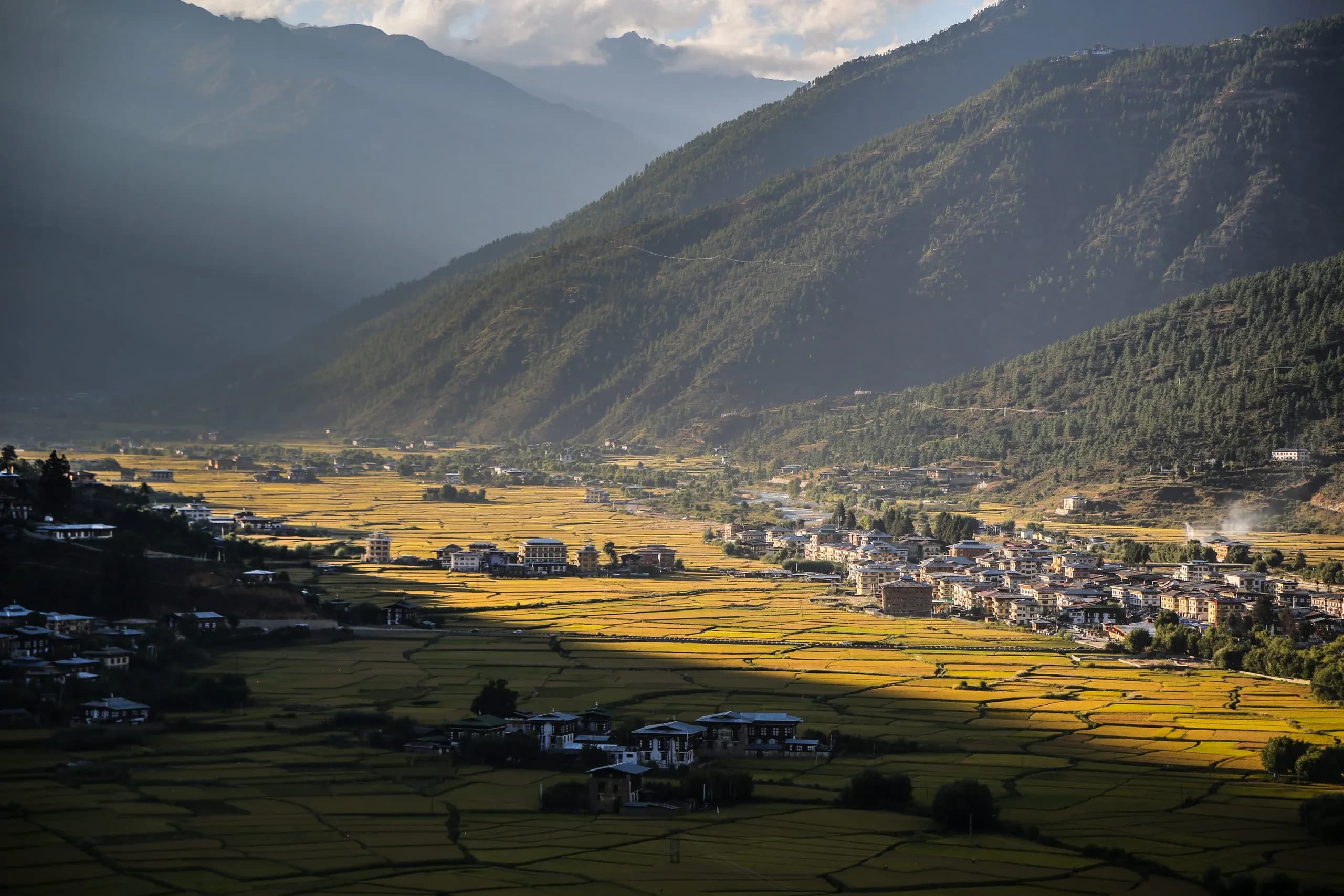 Paro valley from above — the rice paddies, the Pa Chhu river, Rinpung Dzong on the ridge