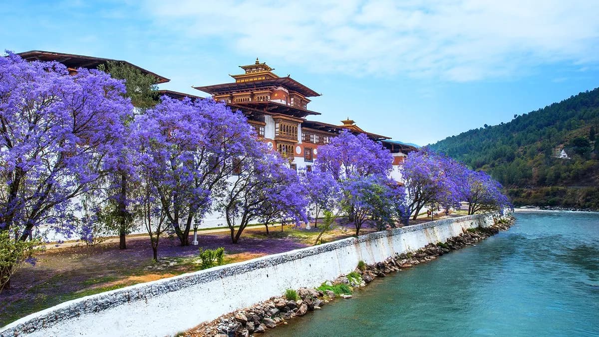 Bhutan in spring — blossom in the valleys